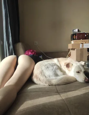 Anisa